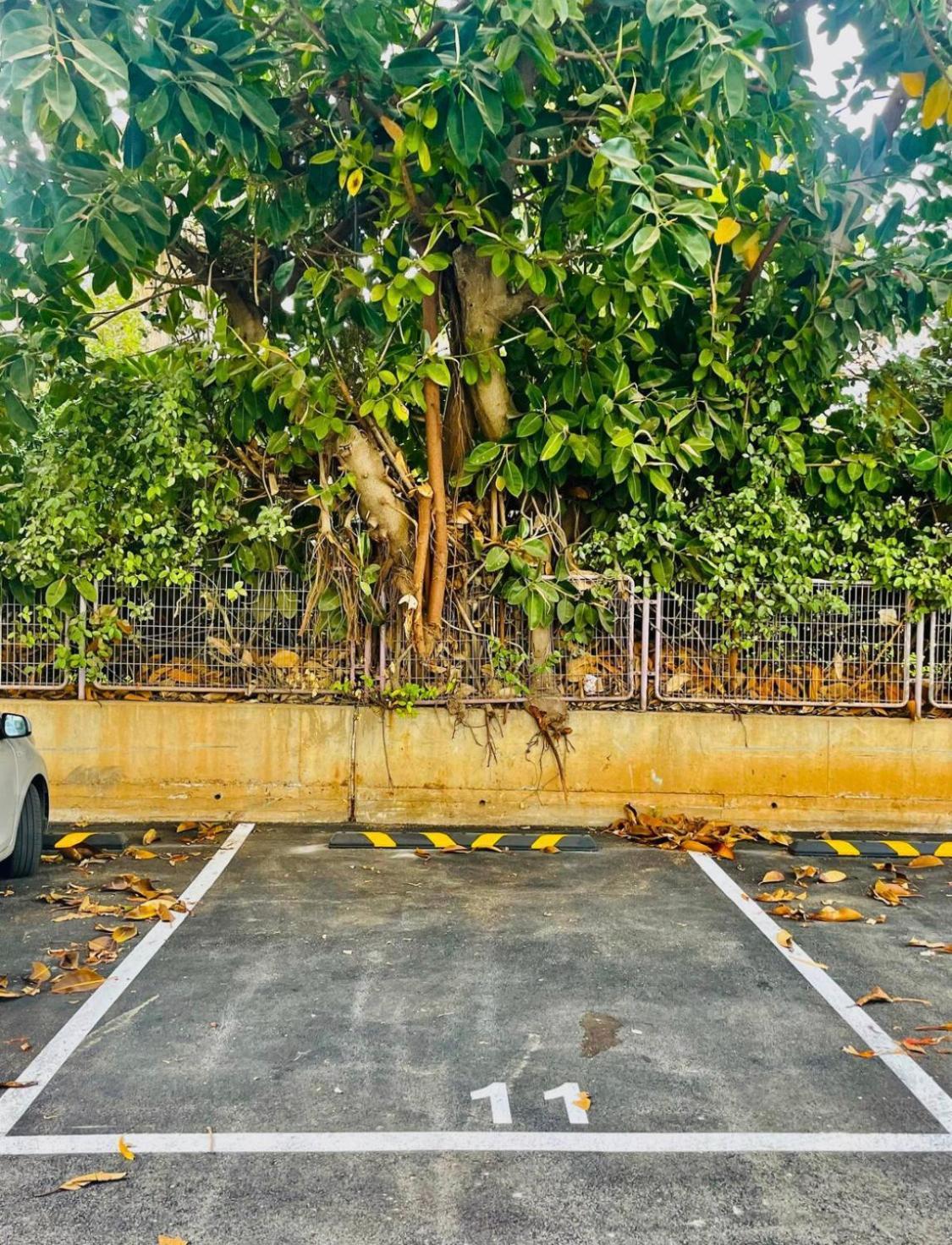 High-End Apartment , With A Private Parking And An Elavator Tel Aviv Bagian luar foto